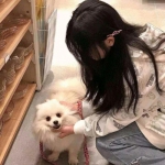 梦幻西游无双版腾讯下载